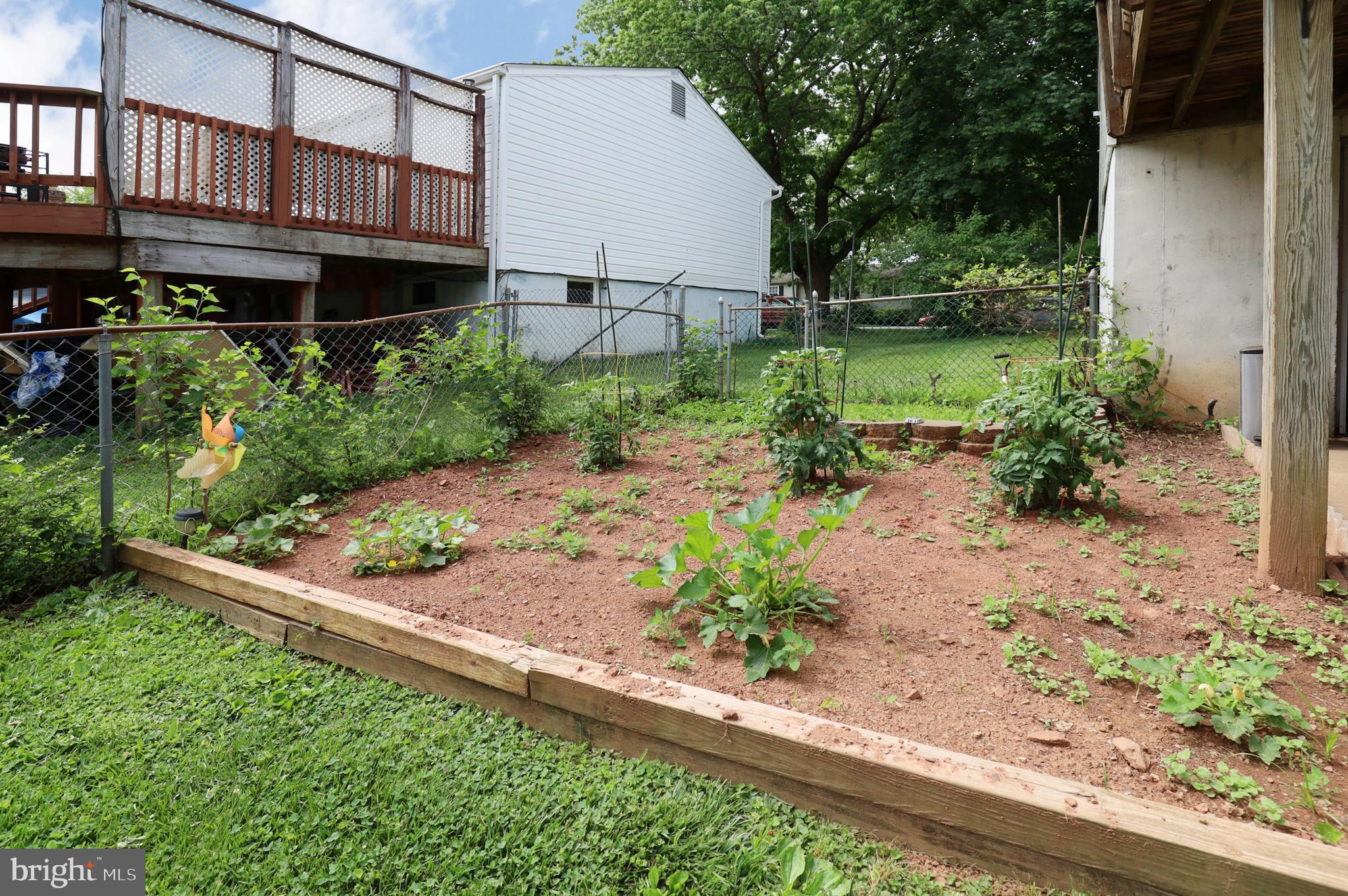 8611 Weems Road Manassas, VA 20110 - Photo 42 of 46 Garden is in!