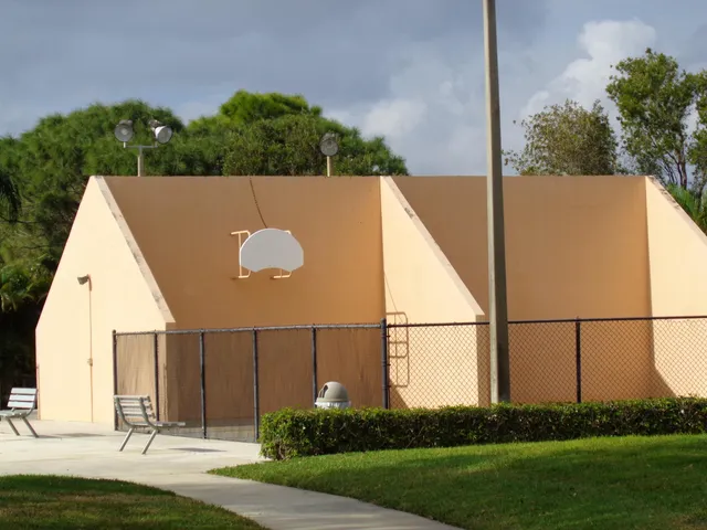 a view of a back yard