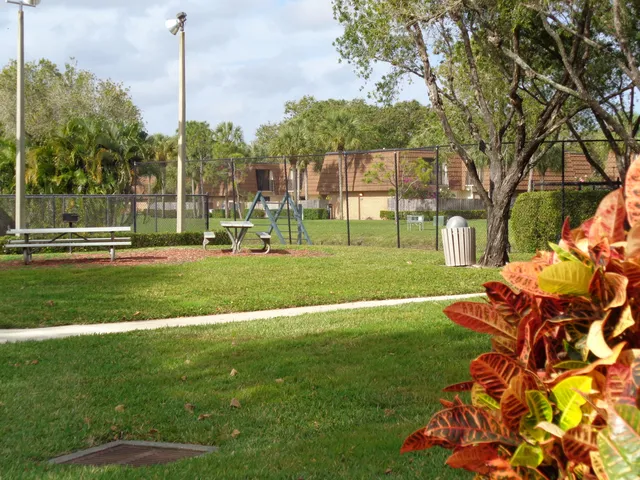 a view of a park with large trees
