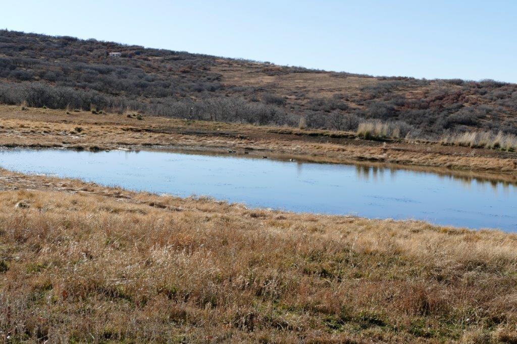 Tbd Tbd 90th Road Montrose, CO 81403 - Photo 9 of 13 _1070280