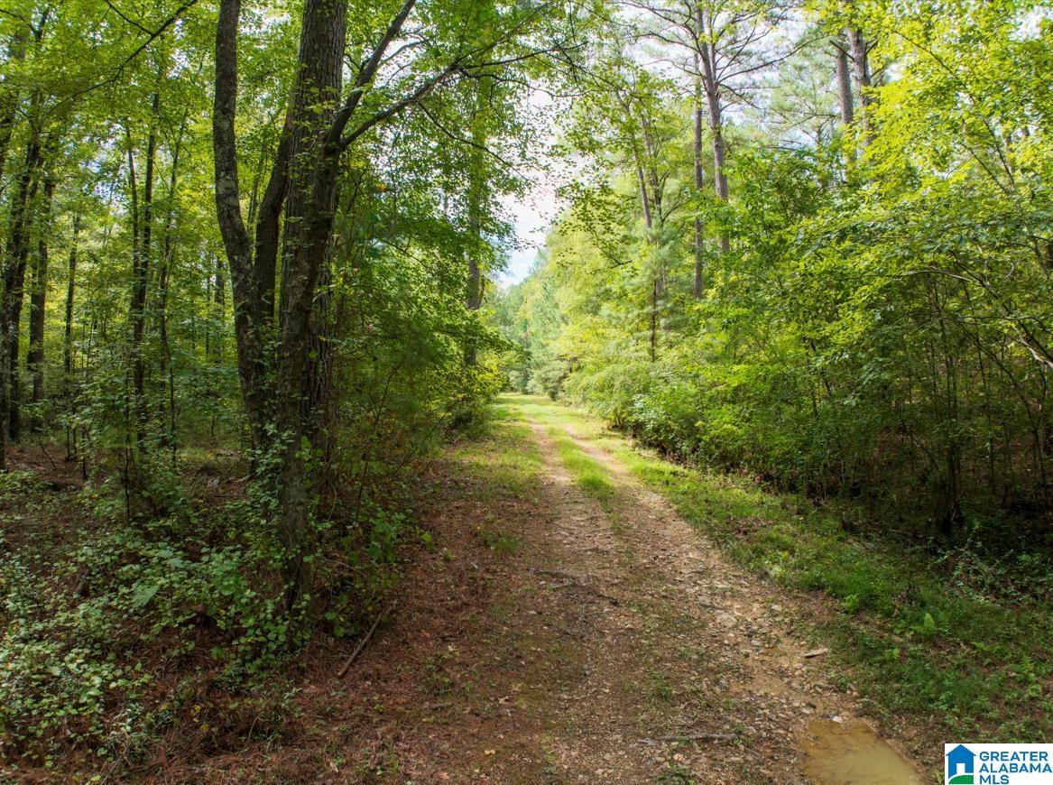 145 Co Road Marbury, AL 36051 - Photo 12 of 12