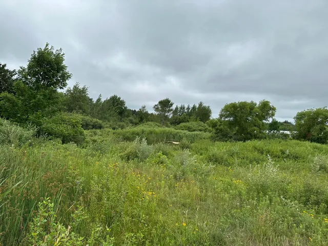 $65,000 | 9 Comfort Drive, Hart, MI 49420