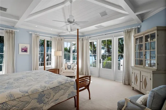 a view of a backyard with plants and palm trees