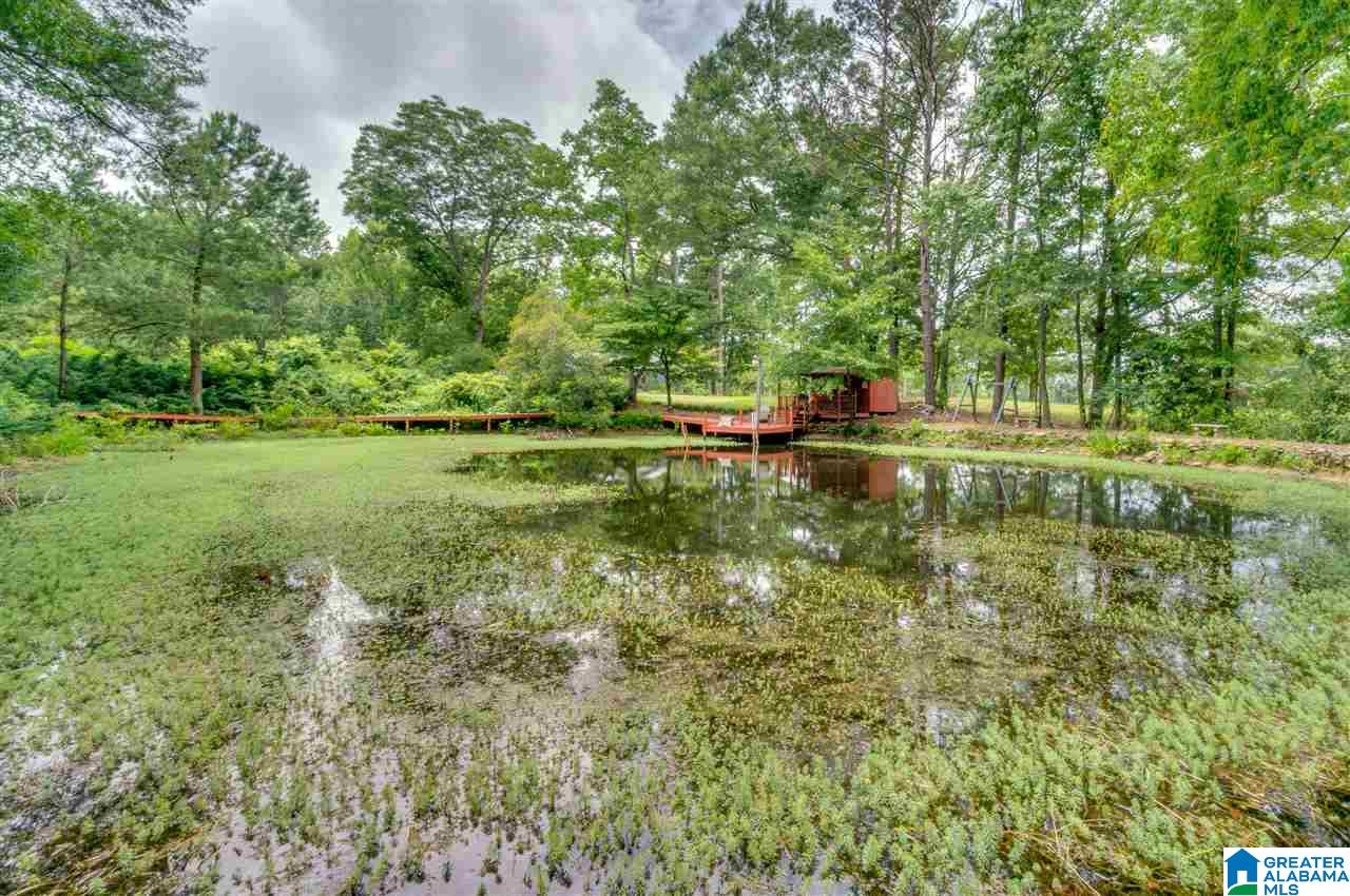 2995 County Road 77 Clanton, AL 35045 - Photo 47 of 50