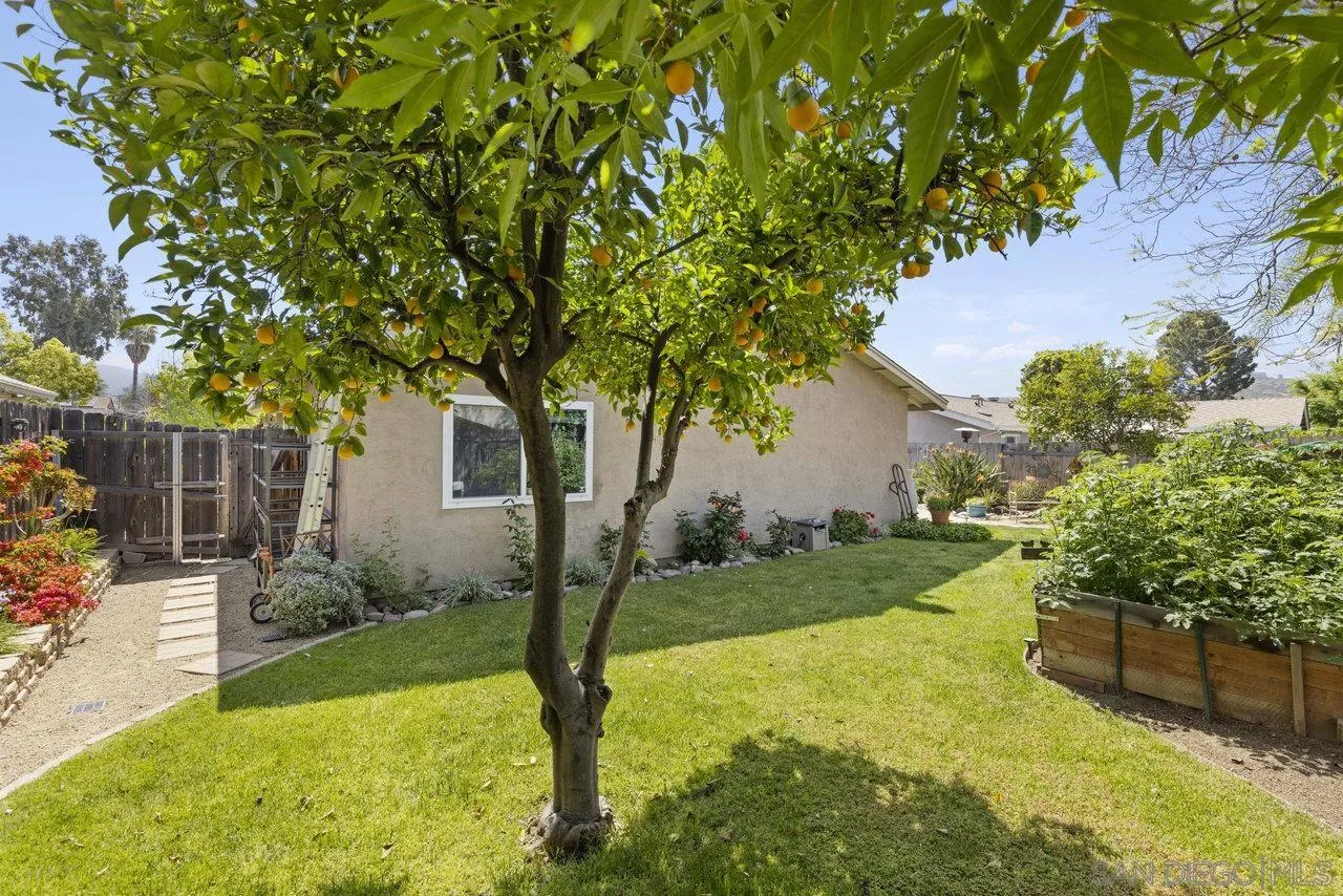 13344 Racquet Court Poway, CA 92064 - Photo 28 of 29 a view of a backyard with plants and a tree