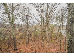 348 River Road, Unit C6 Bluff City, TN 37618 - Photo 19 of 24 MOUNTAIN VIEW