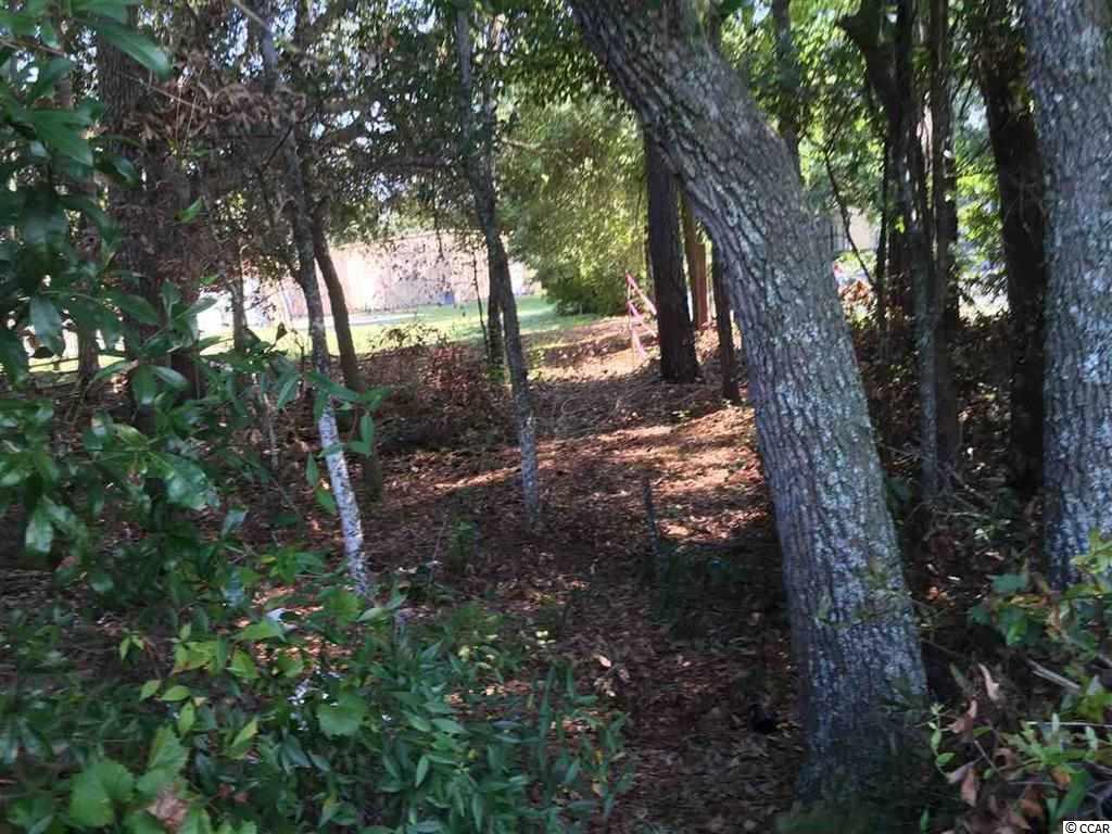 1156 Burgess Road Murrells Inlet, SC 29576 - Photo 10 of 25