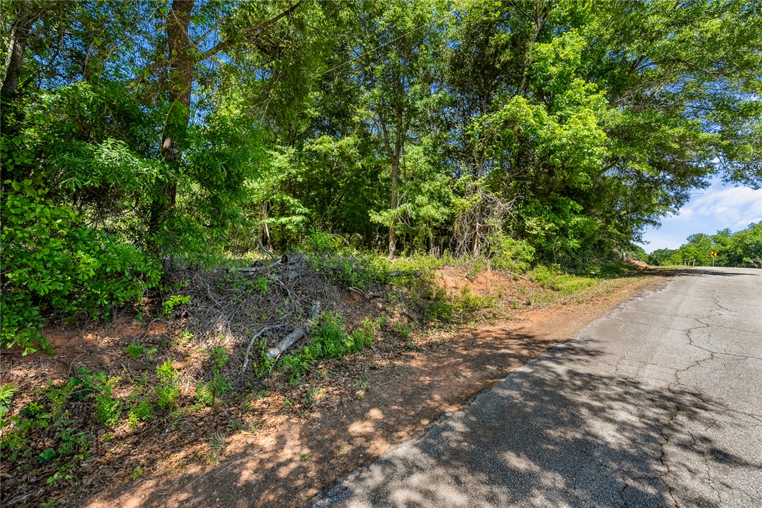 0 Boggs Road Belton, SC 29627 - Photo 7 of 12 Gallery Image 7