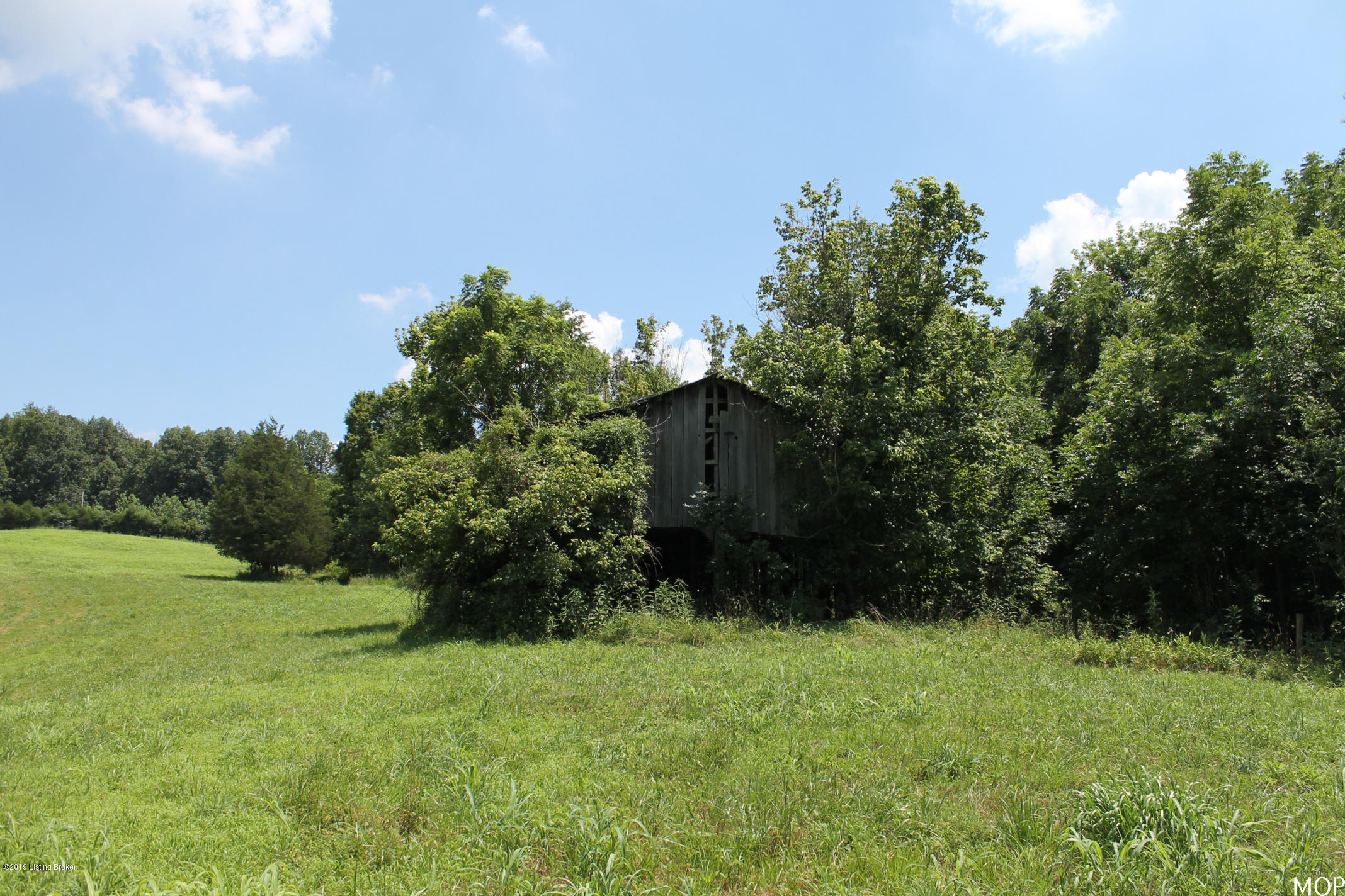 1000 Figett Bend Road Canmer, KY 42722 - Photo 15 of 61 IMG_2292