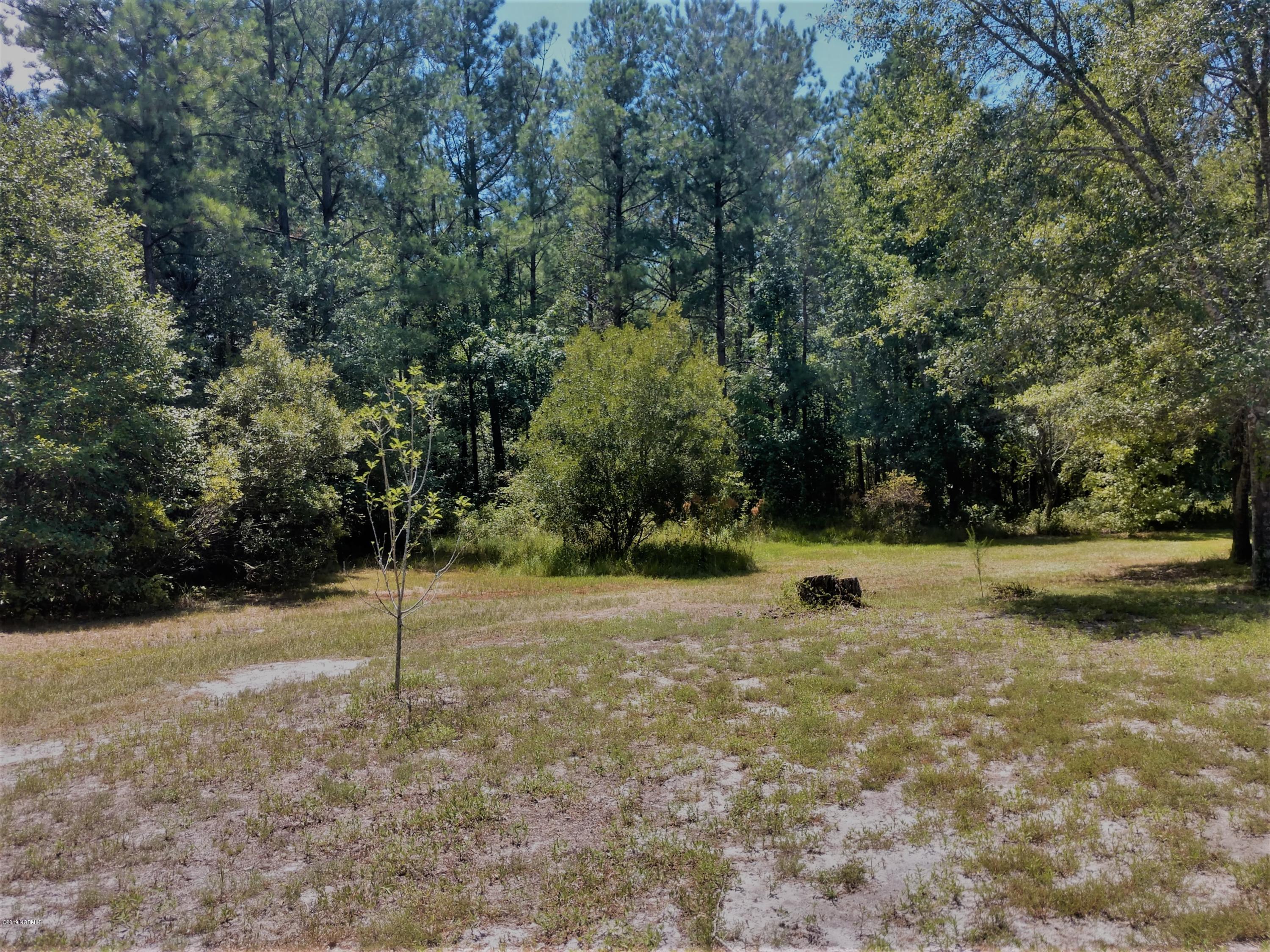 3503 Blueberry Road Currie, NC 28435 - Photo 23 of 23 IMG_20190730_140701434_HDR