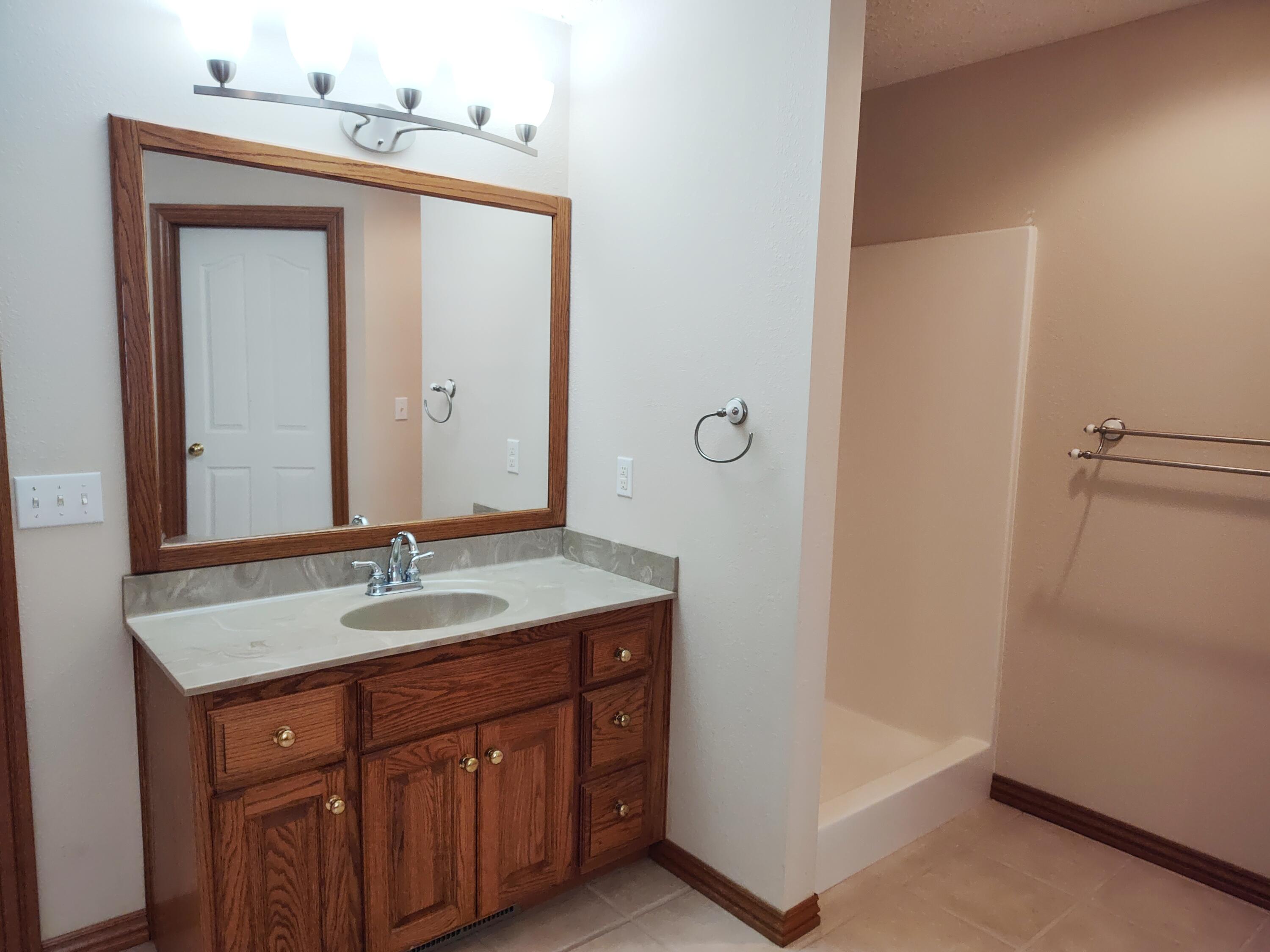 4107 South 118th Road Bolivar, MO 65613 - Photo 25 of 48 Smaller vanity