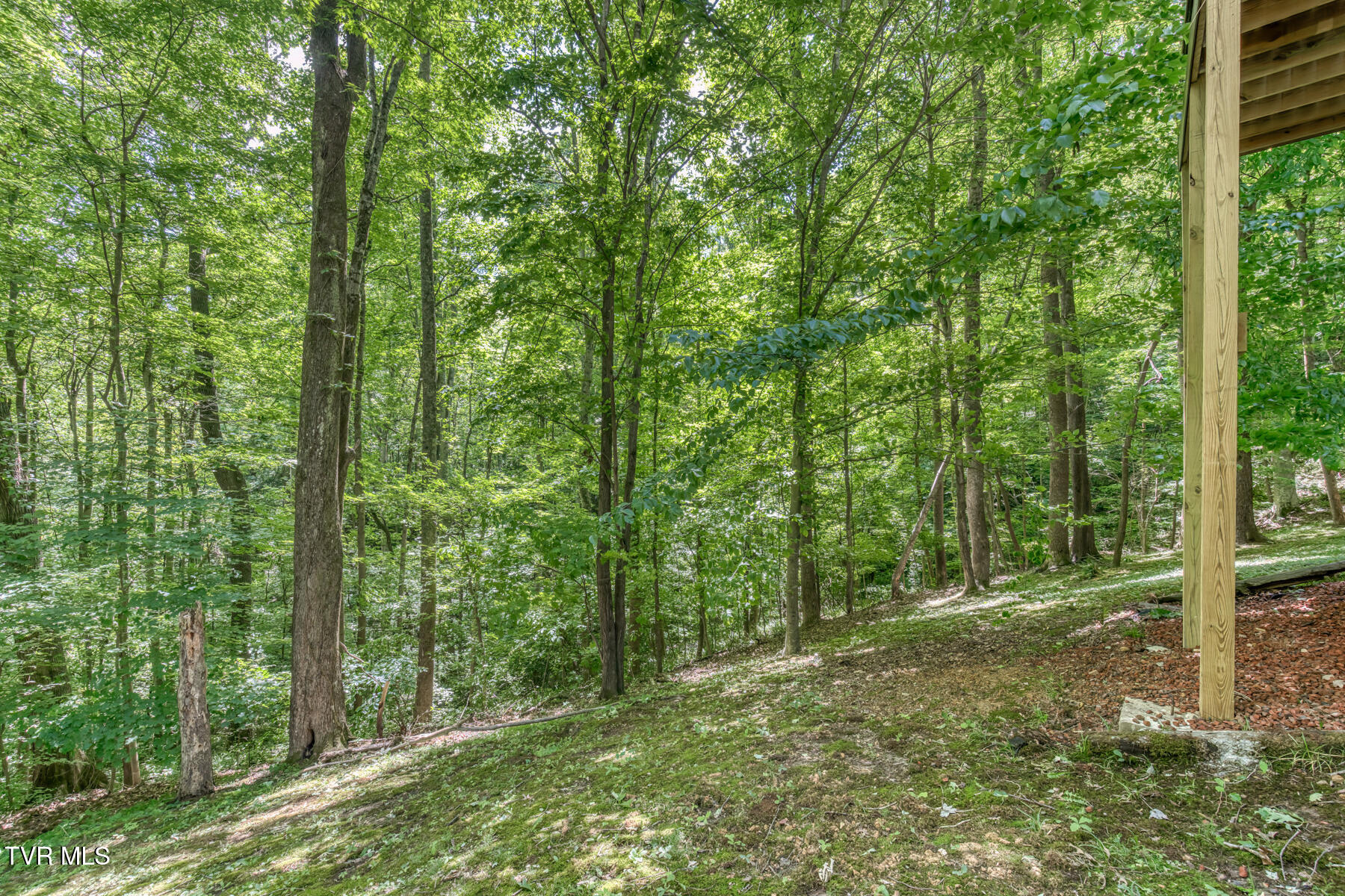 2204 Nantucket Road Johnson City, TN 37604 - Photo 64 of 71 2204 Nantucket Rd-64