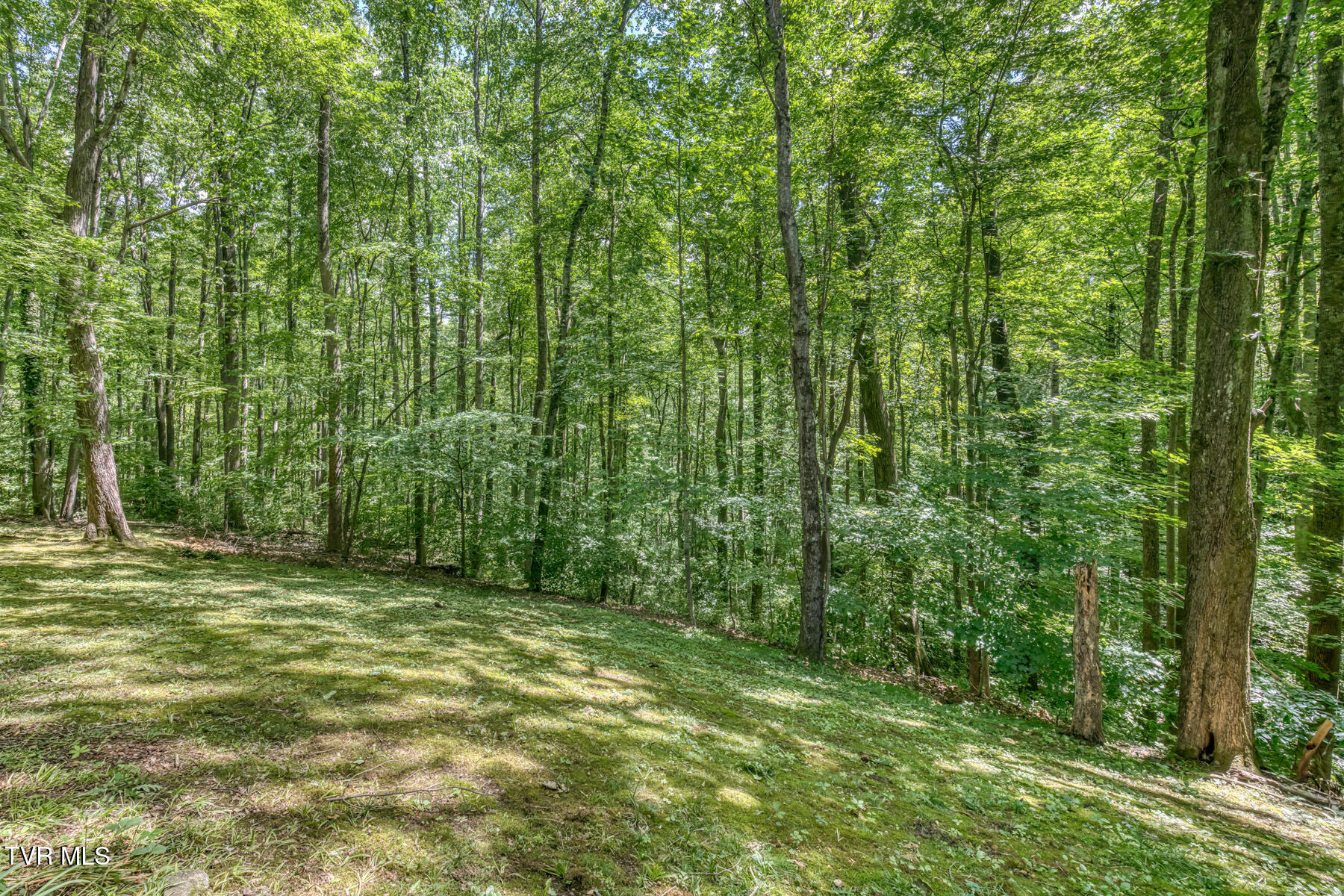 2204 Nantucket Road Johnson City, TN 37604 - Photo 65 of 71 2204 Nantucket Rd-65