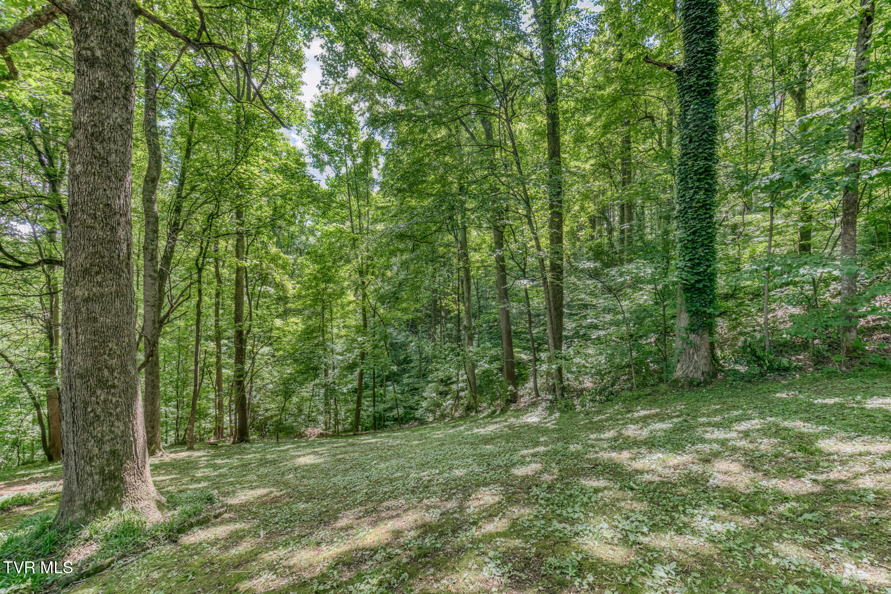 2204 Nantucket Road Johnson City, TN 37604 - Photo 68 of 71 2204 Nantucket Rd-68