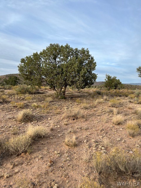 0 North Stefan Road Kingman, AZ 86401 - Photo 2 of 6 Gallery Image 2