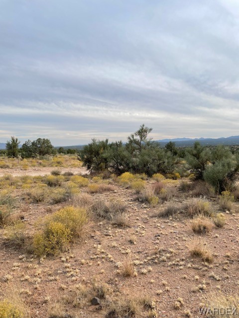 0 North Stefan Road Kingman, AZ 86401 - Photo 4 of 6 Gallery Image 4