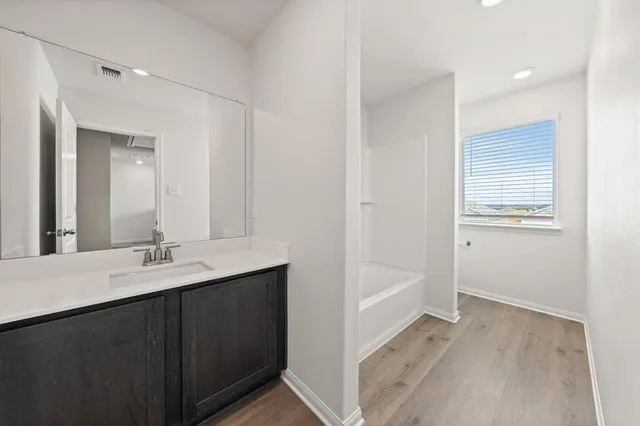 a bathroom with a sink a mirror and a bathtub