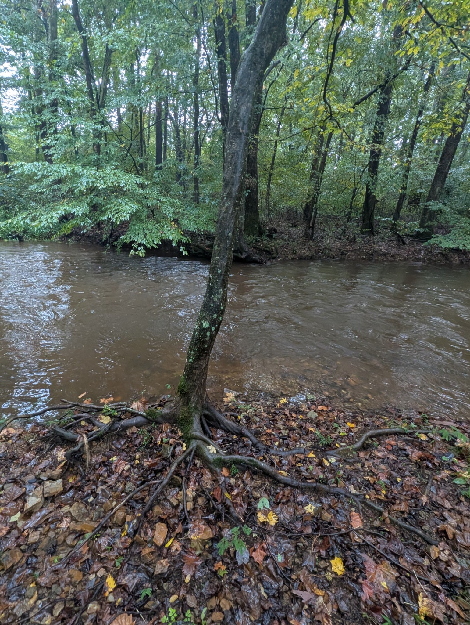 441 Matts Hollow Road Manchester, TN 37355 - Photo 57 of 63