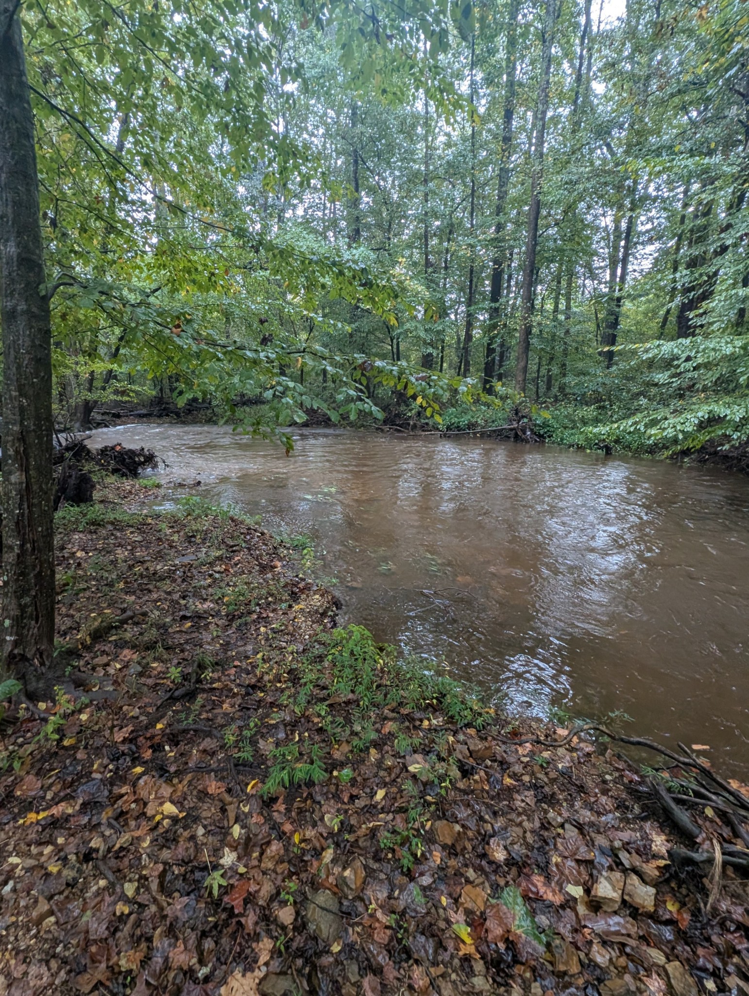 441 Matts Hollow Road Manchester, TN 37355 - Photo 60 of 63