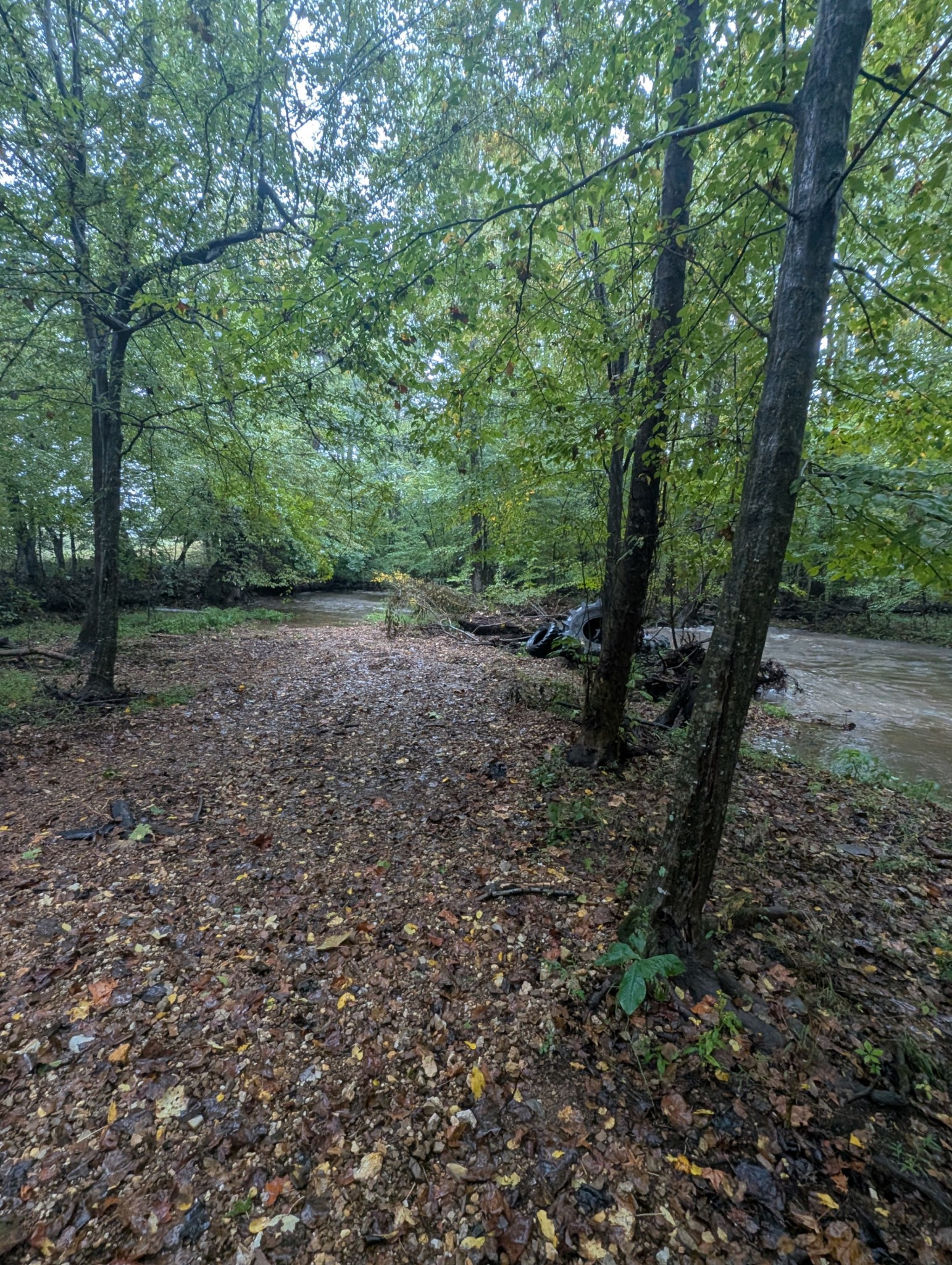 441 Matts Hollow Road Manchester, TN 37355 - Photo 62 of 63