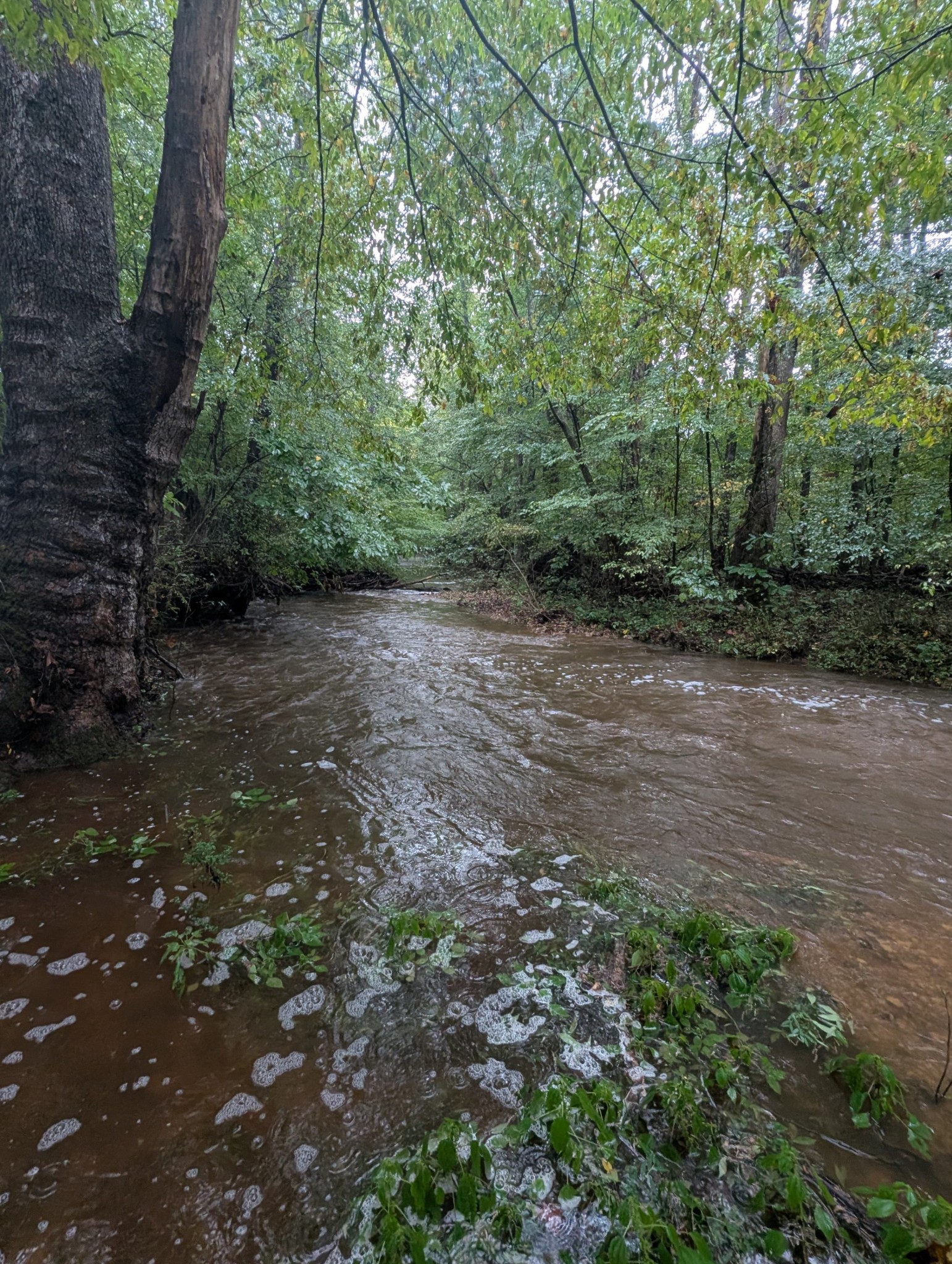 441 Matts Hollow Road Manchester, TN 37355 - Photo 63 of 63