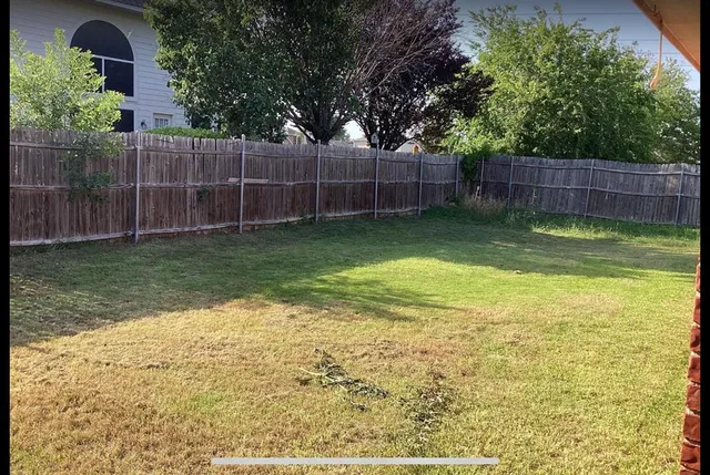 a view of a yard with a trampoline
