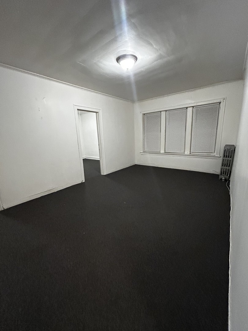 209 North Kolmar Avenue, Unit 1S Chicago, IL 60624 - Photo 6 of 6