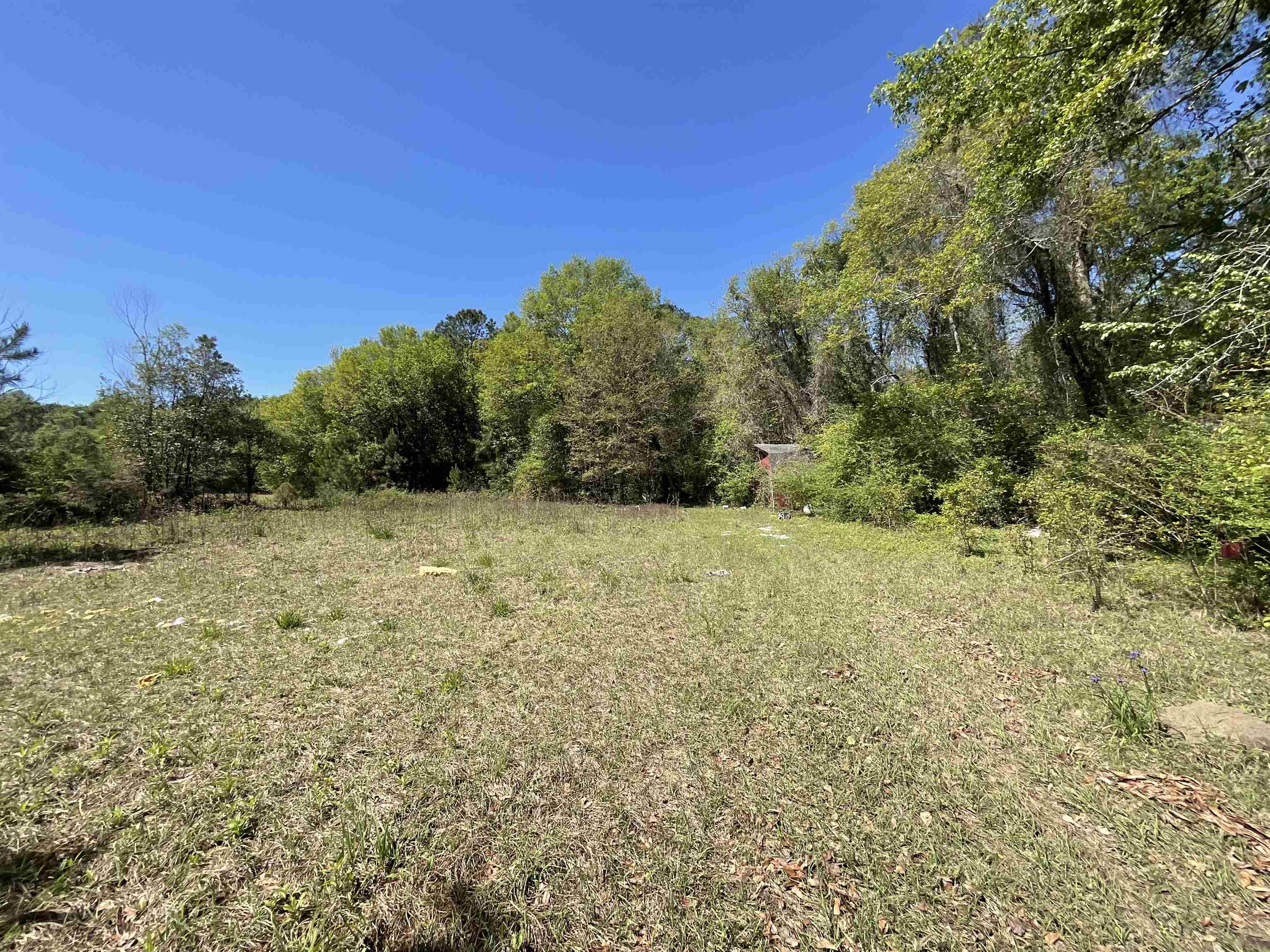 1975 Rook Road Ochlocknee, GA 31773 - Photo 42 of 42