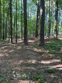 46 Davis Road Hiram, GA 30141 - Photo 7 of 17 a backyard of a house with lots of green space