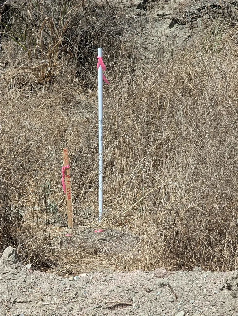 462 Waters Road Moorpark, CA 93021 - Photo 3 of 12 a flag is sitting in middle of the ground