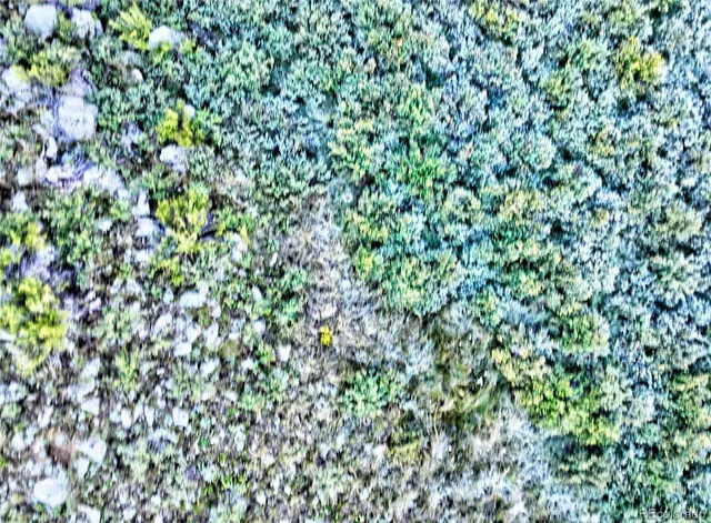 $43,000 | 3547 Arrowhead Drive, Como, CO 80456