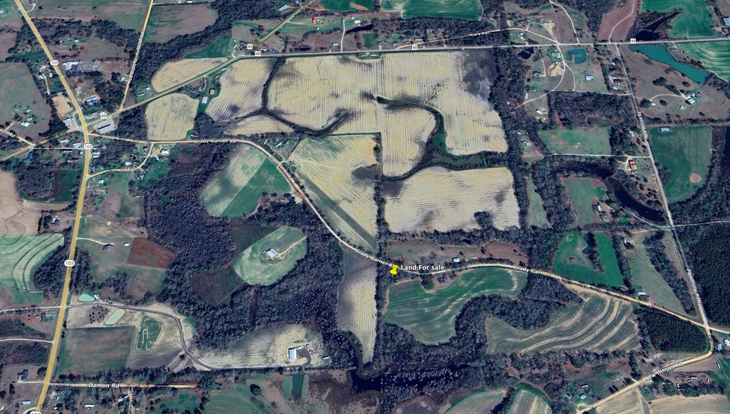4.9-acres Grady Garner Road Slocomb, AL 36375 - Photo 67 of 70