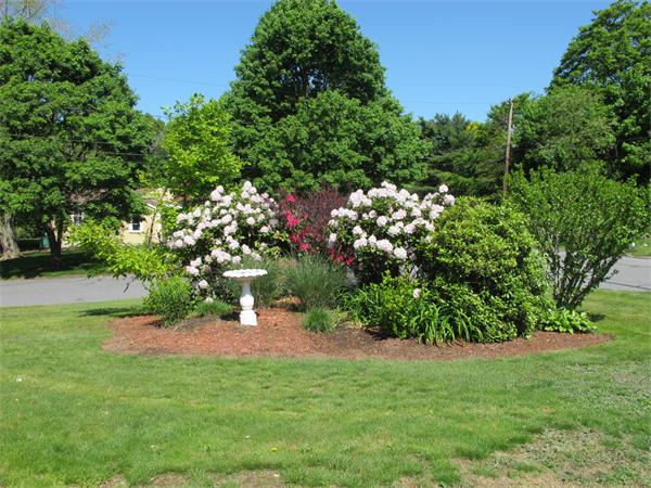 8 Oxbow Road Lexington, MA 02421 - Photo 13 of 16