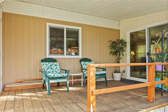 a outdoor space with the couches and a potted plant