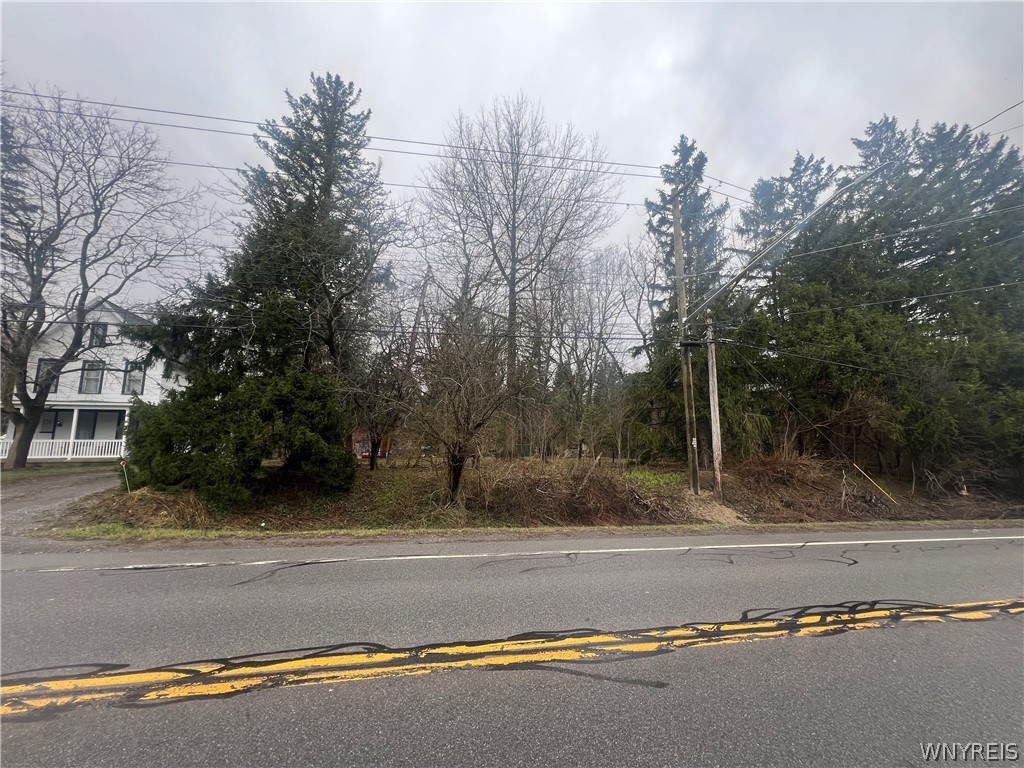 1351 Bullis Road Elma, NY 14059 - Photo 18 of 20