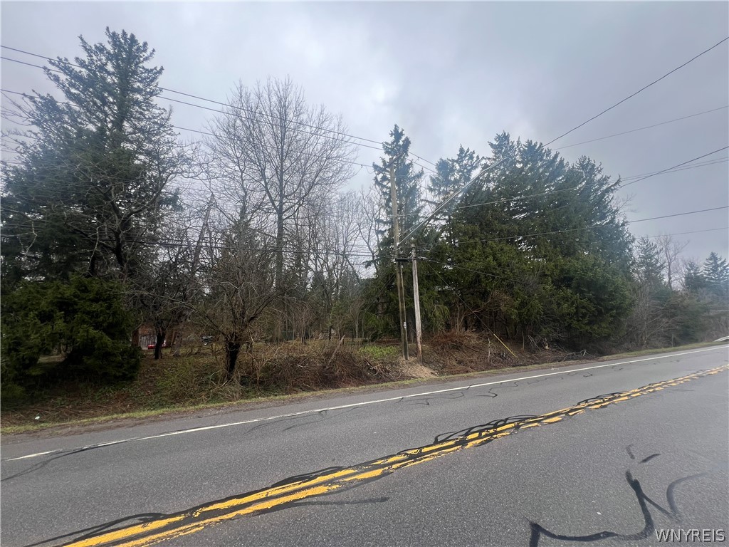 1351 Bullis Road Elma, NY 14059 - Photo 19 of 20