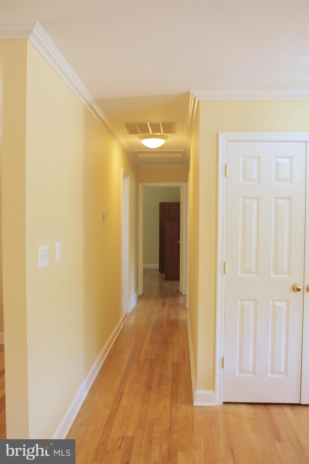 14727 Blanton Road Silver Spring, MD 20905 - Photo 16 of 27 Interior (General)