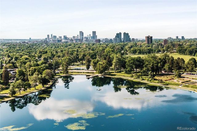 a view of a garden with plants