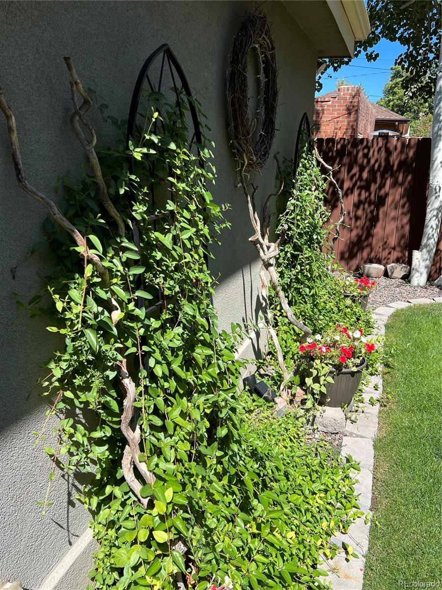 747 South Emerson Street Denver, CO 80209 - Photo 47 of 48 a picture of flowers