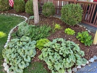 747 South Emerson Street Denver, CO 80209 - Photo 48 of 48 a view of a garden with plants
