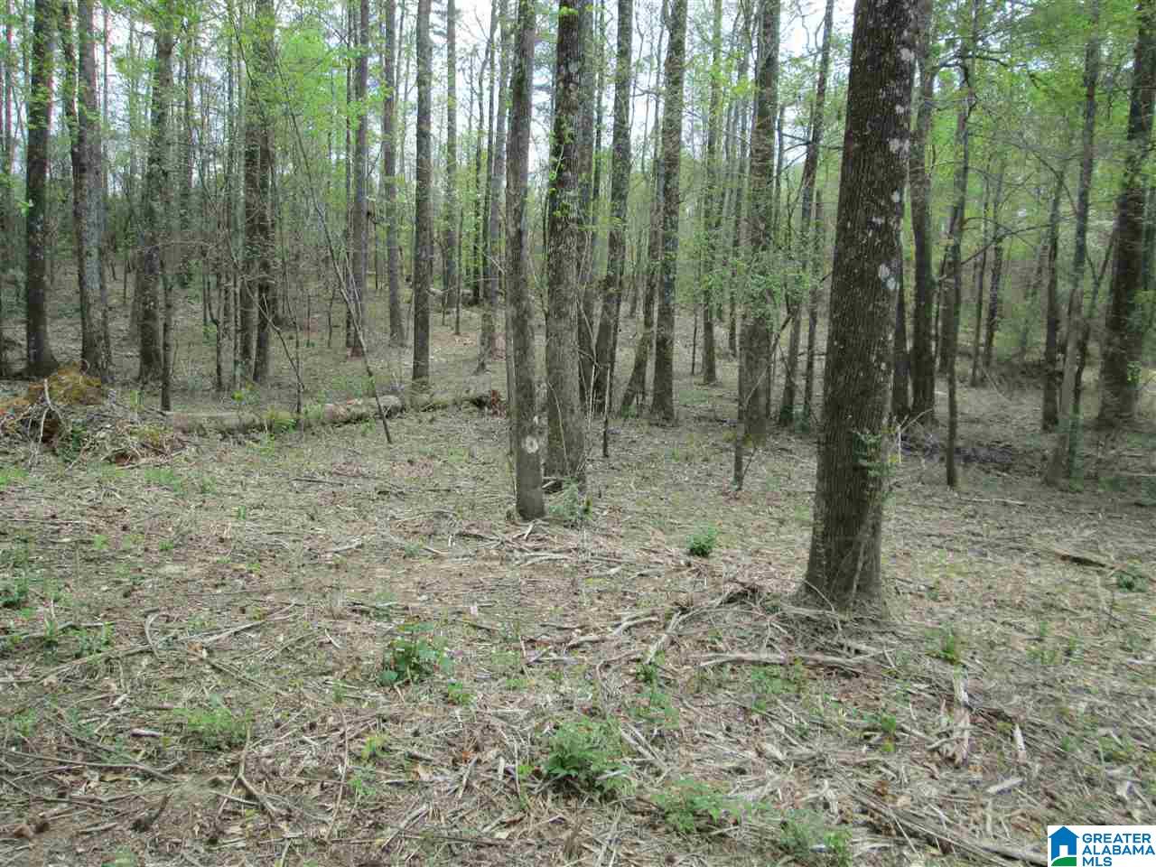 2460 Corner Road Warrior, AL 35180 - Photo 10 of 13