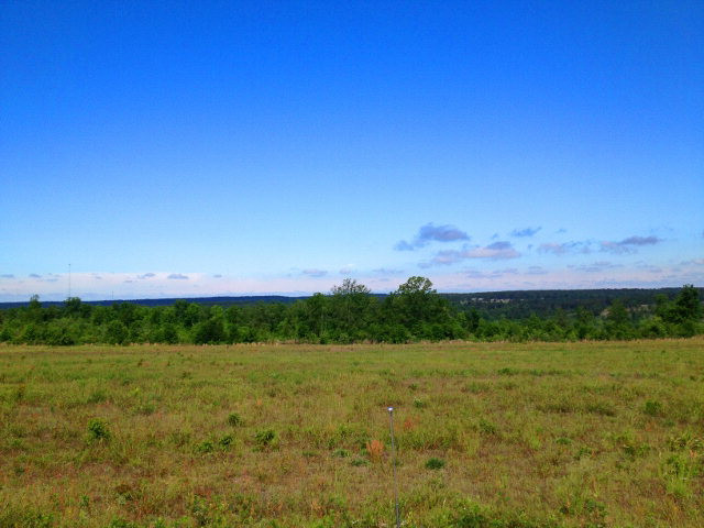 Tract B Township Road Aiken, SC 29803 - Photo 16 of 19