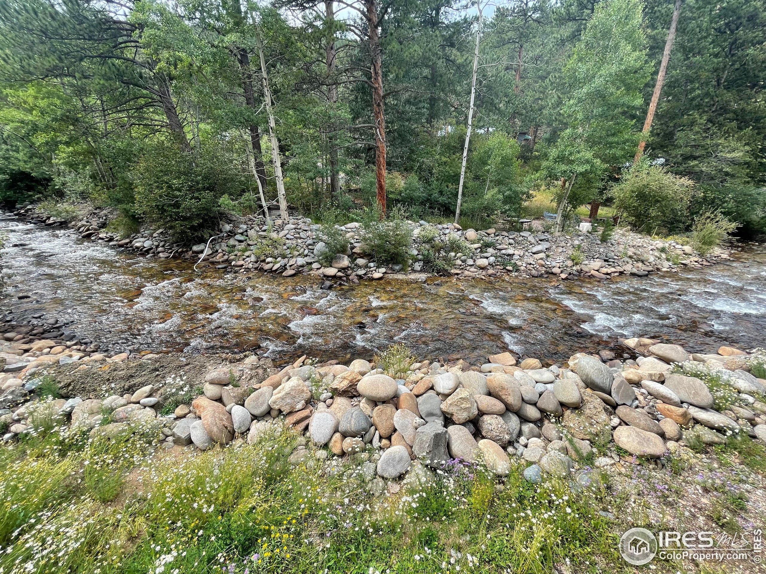 664 Riverside Drive Lyons, CO 80540 - Photo 15 of 16 a view of a forest with trees