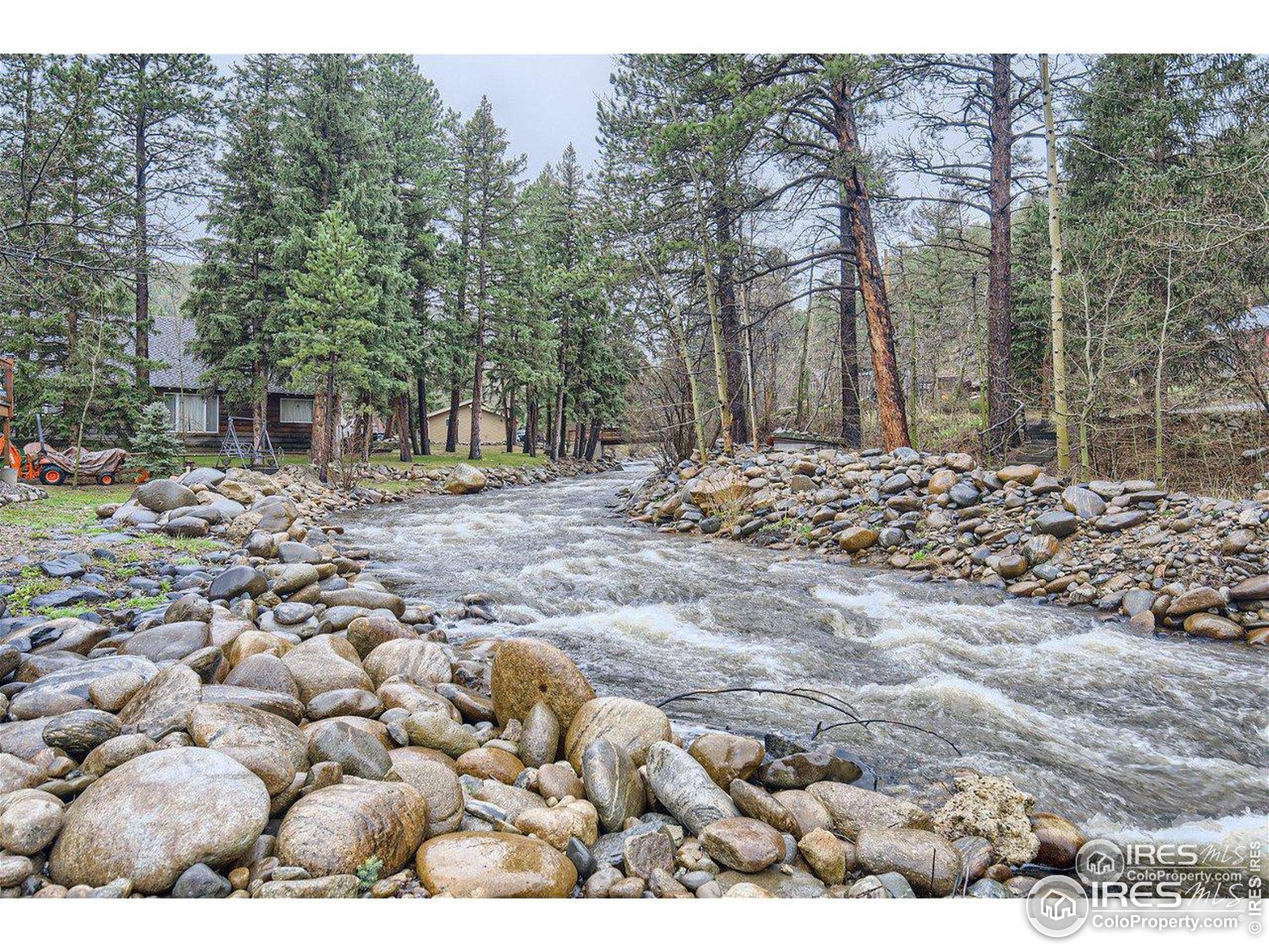 664 Riverside Drive Lyons, CO 80540 - Photo 3 of 16 a row of trees with some trees