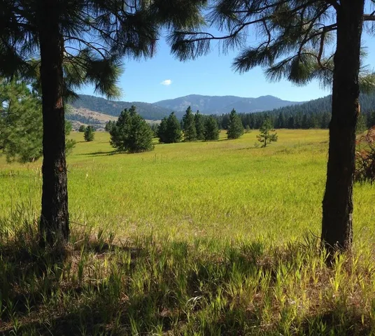 $225,000 | 2069 South Johnson Road, Rice, WA 99167