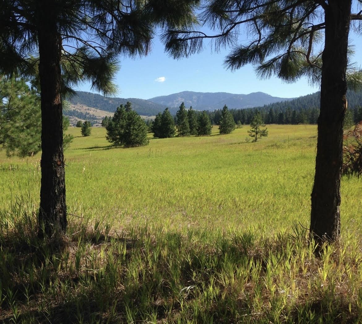 2069 South Johnson Road Rice, WA 99167 - Photo 11 of 14