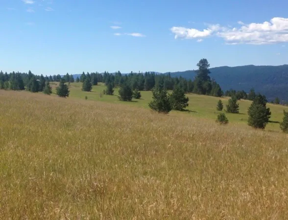 $225,000 | 2069 South Johnson Road, Rice, WA 99167