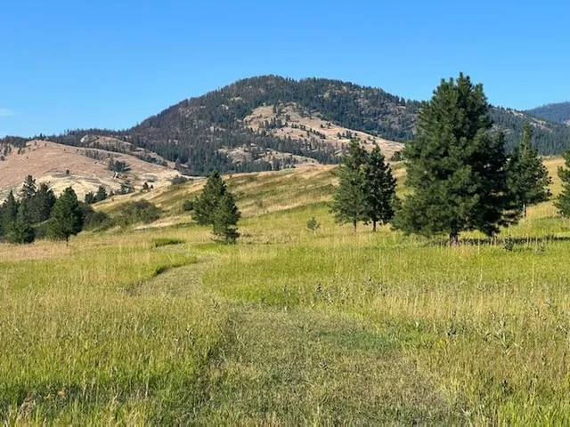 $225,000 | 2069 South Johnson Road, Rice, WA 99167