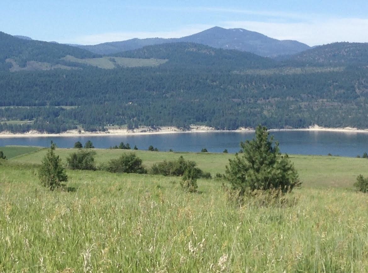 2069 South Johnson Road Rice, WA 99167 - Photo 3 of 14