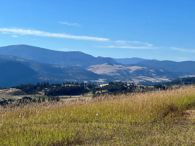 $225,000 | 2069 South Johnson Road, Rice, WA 99167